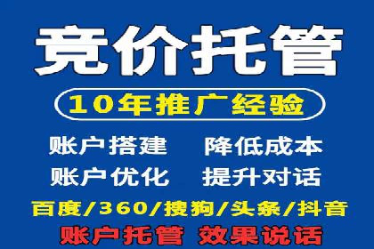 行业内的SEM竞价代运营公司优秀案例剖析